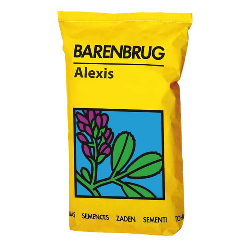 barenbrug-alexis