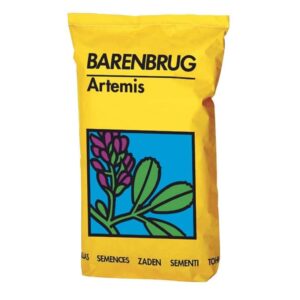 barenbrug-artemis
