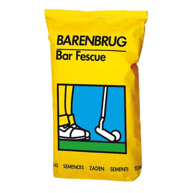 barenbrug-bar-fescue barenbrug-bar-fescue
