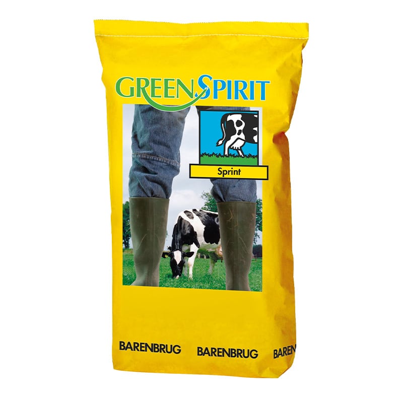 barenbrug-green-spirit-sprint