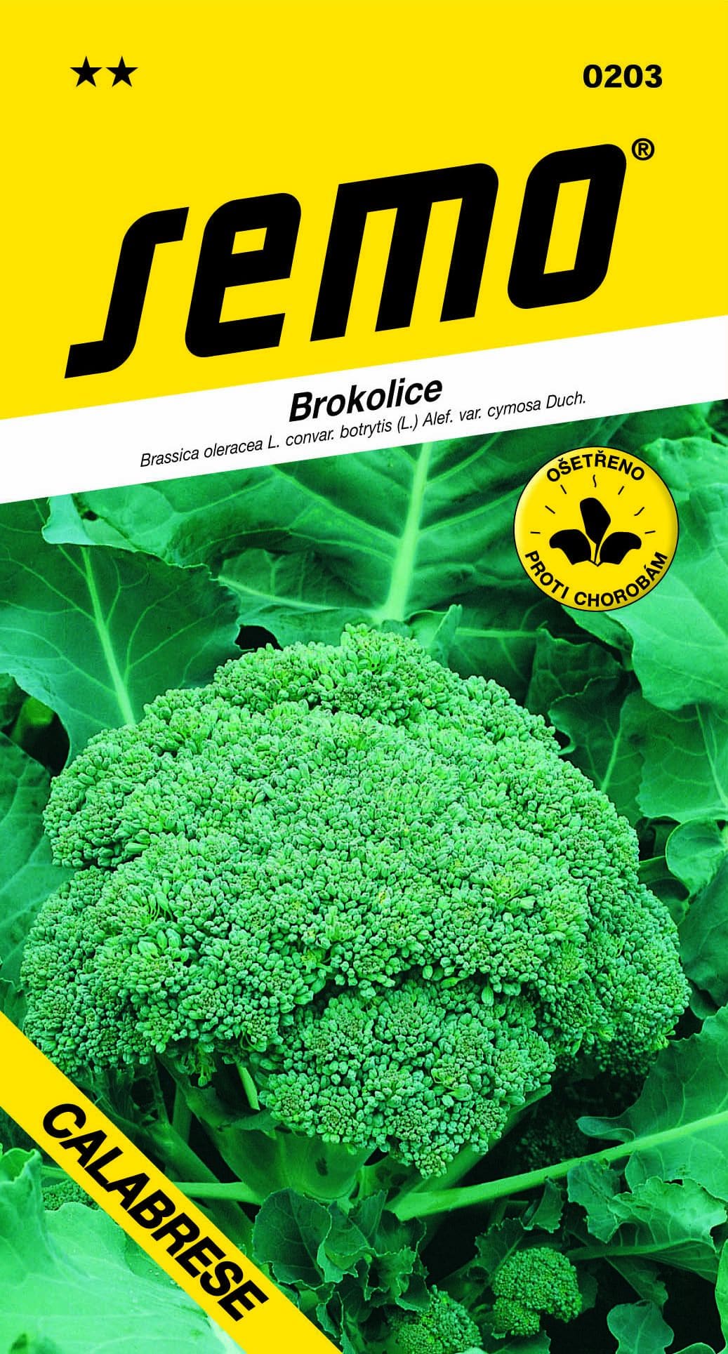 0203_brokolice-CALABRESE-2