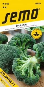 0219_brokolice-ATLANTIS-F1-2