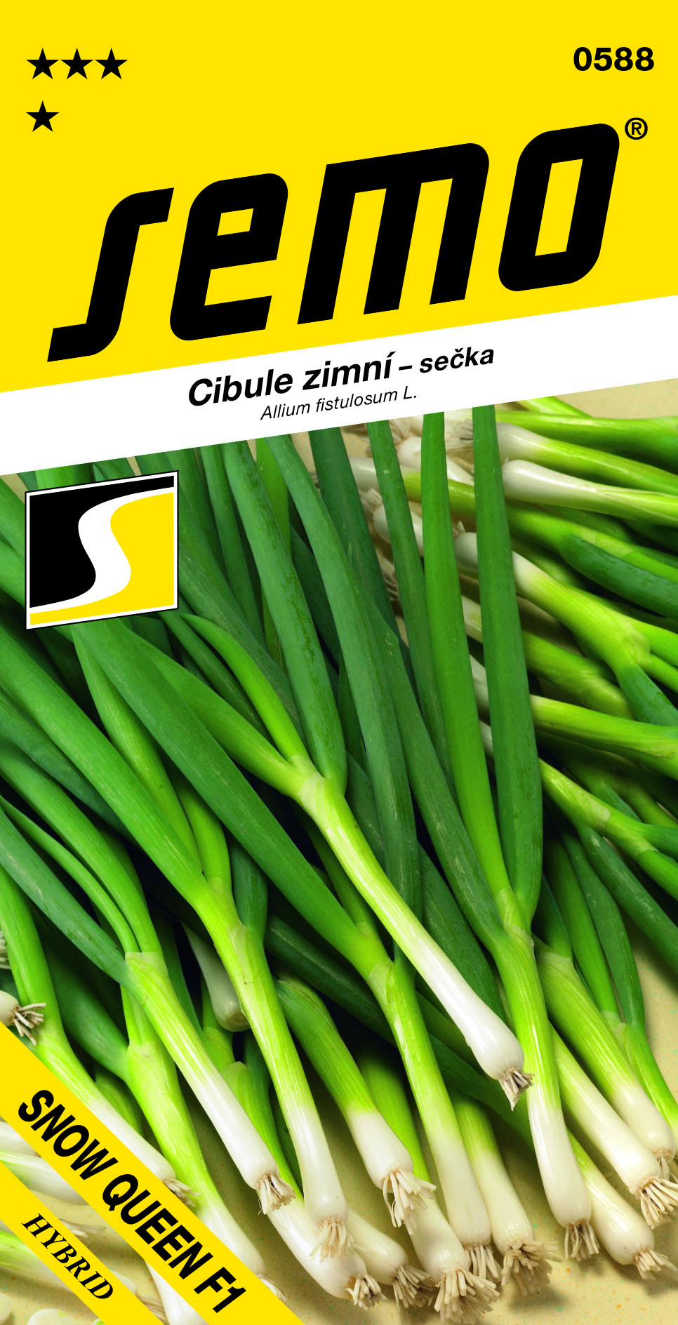0588-cibule-sečka-SNOW-QUEEN_G4702203_VS-1