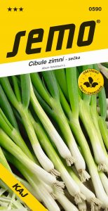0590_cibule-sečka-KAJ-2