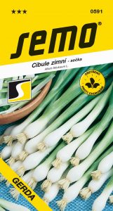 0591_cibule-sečka-GERDA-2
