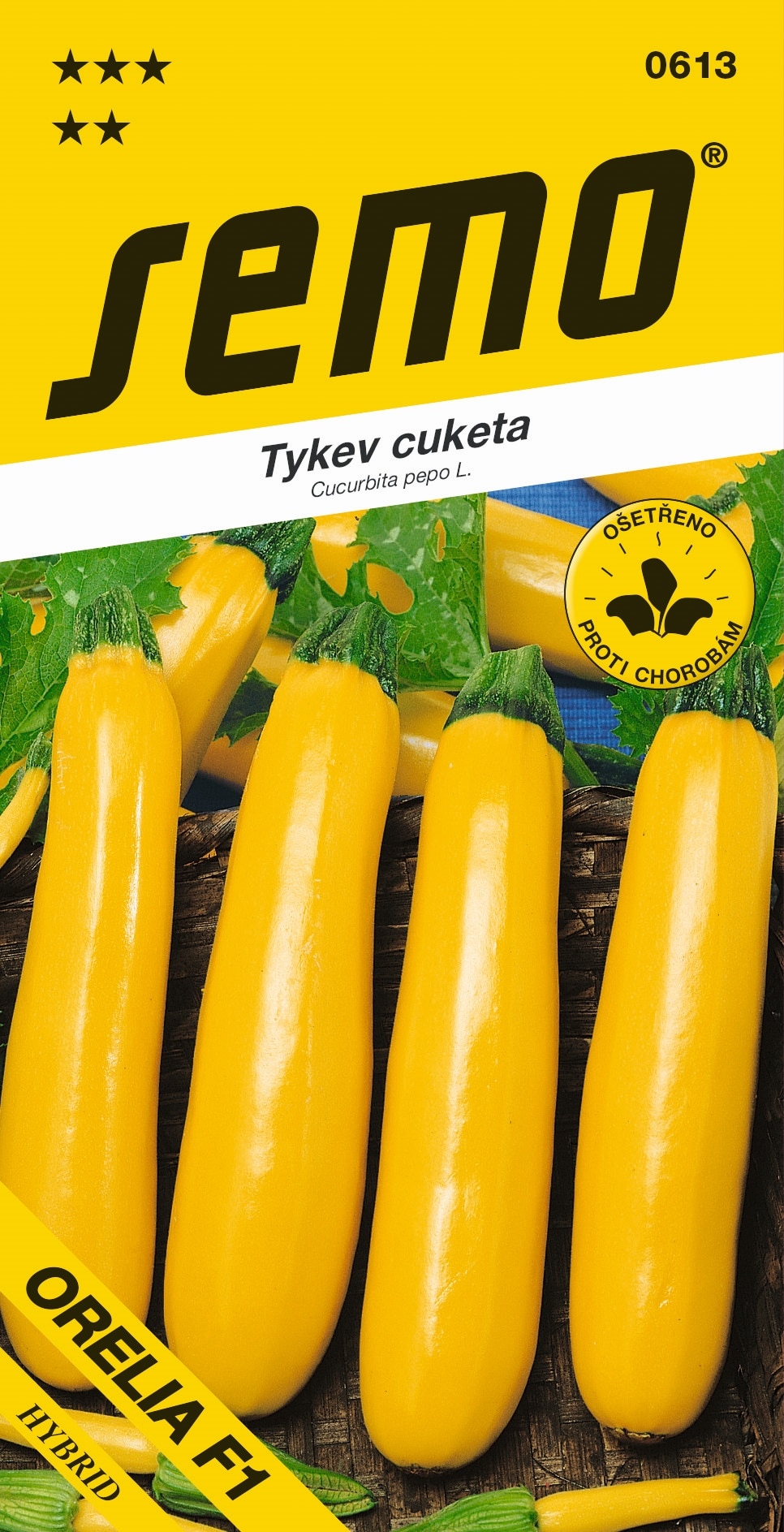 0613_tykev-cuketa-ORELIA-F1-2
