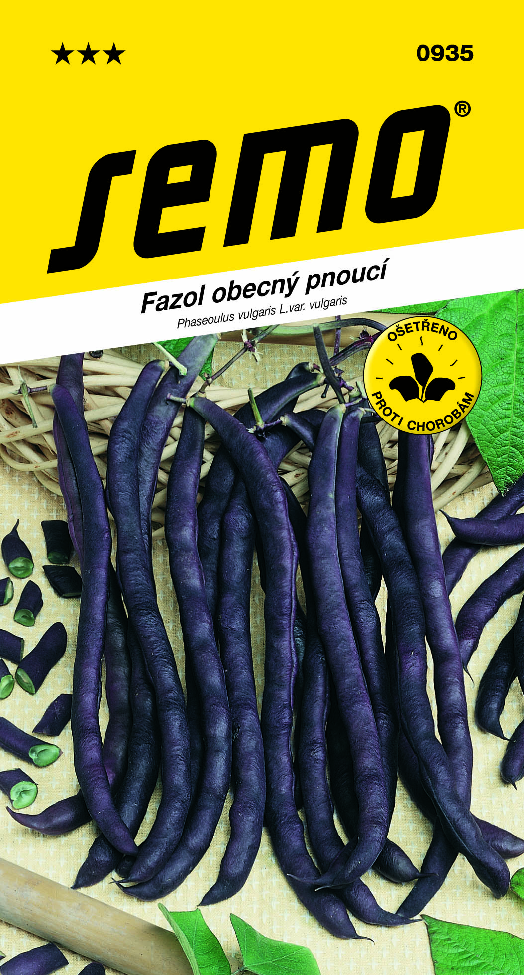 0935_fazol-pnoucí-PURPLE-PODDED-CLIMBING-2