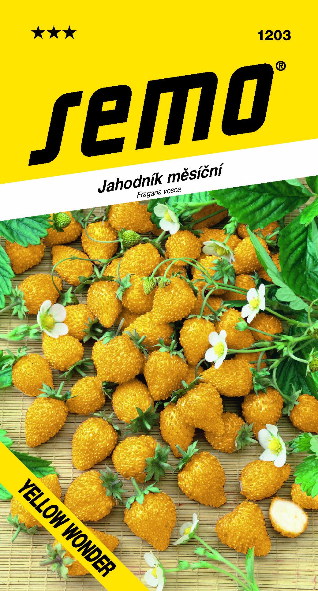 1203_jahodník-YELLOW-WONDER-2