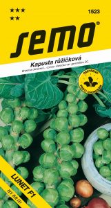 1523_kapusta-růž.-LUNET-F1-2