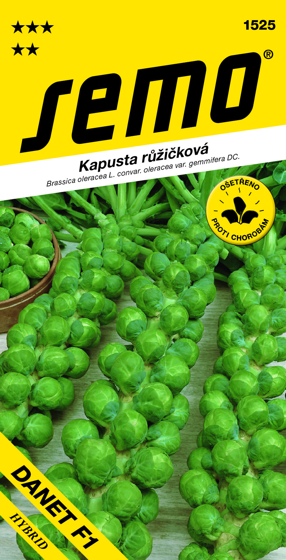 1525 Kapusta růžičková DANET F1_70 54 10_VS 1525-Kapusta-růžičková-DANET-F1_70-54-10_VS-2