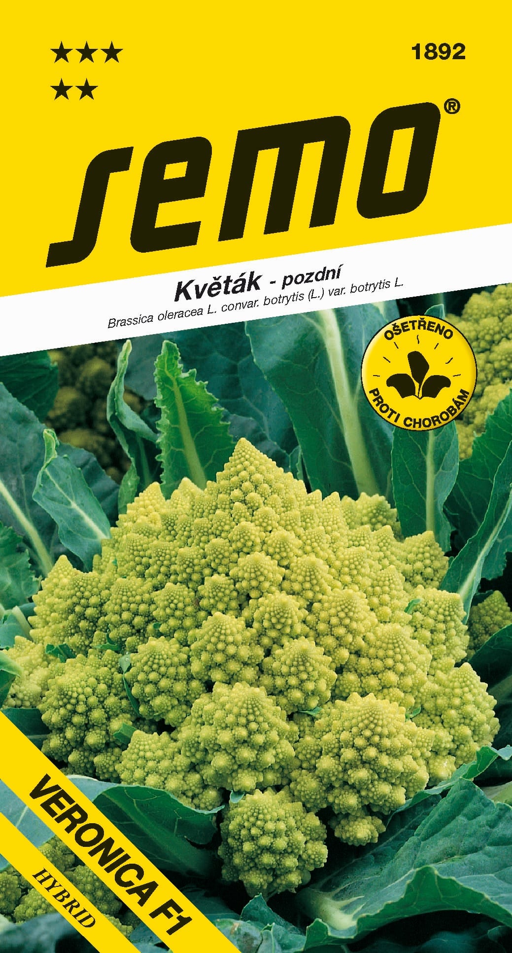 1892_květák-VERONICA-F1-2