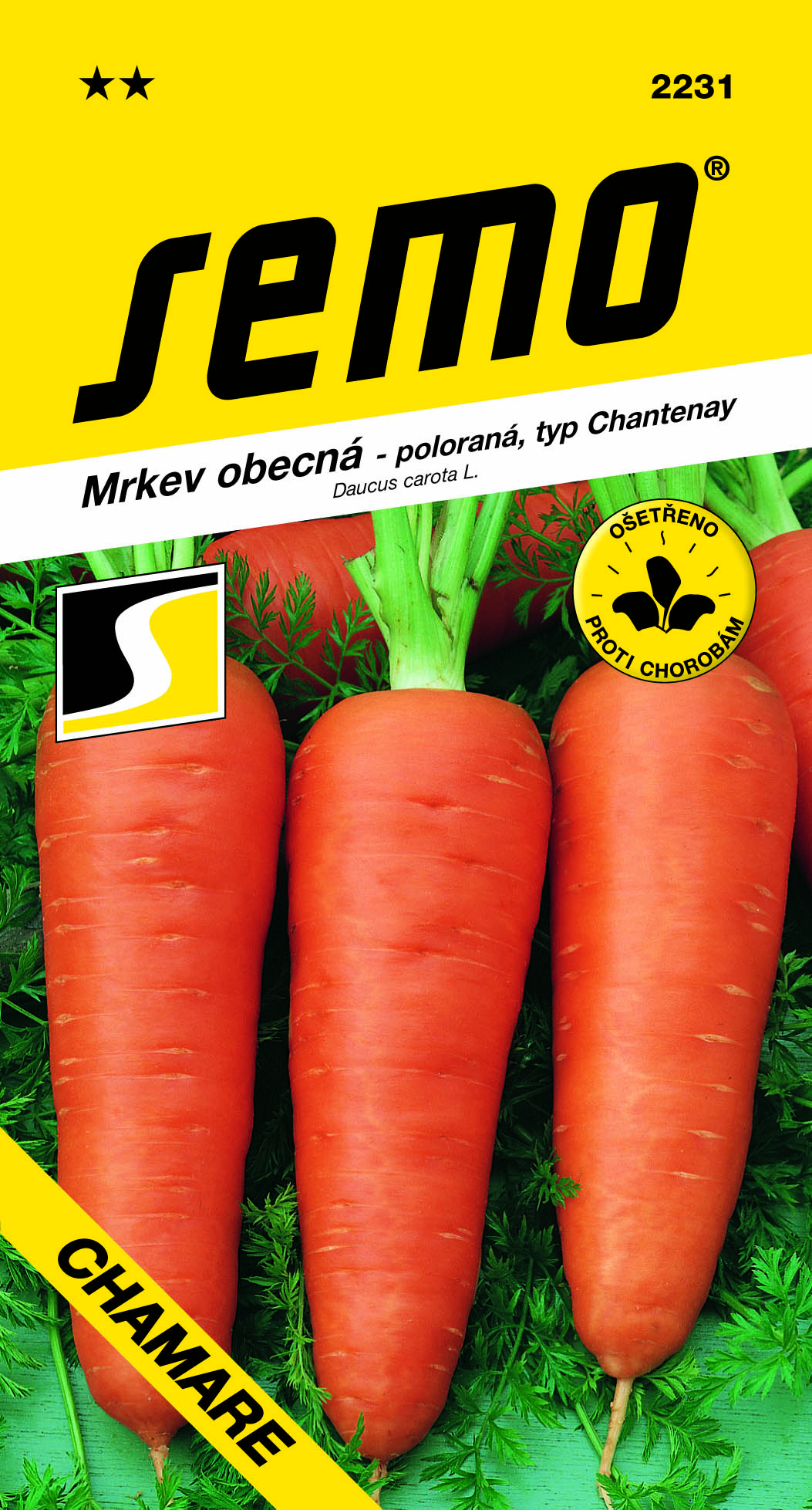 2231_mrkev-CHAMARE-2