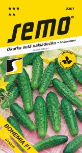 2307_okurka-nakl.hruboost.-BOHEMIA-F1-1