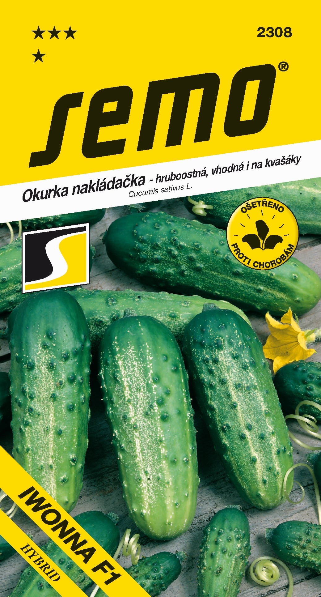 2308_okurka-nakl.hruboost.-IWONNA-F1-1