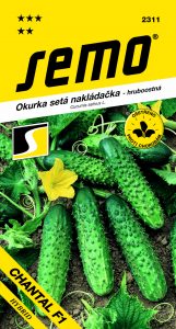2311_okurka-nakl.hruboost.-CHANTAL-F1-1