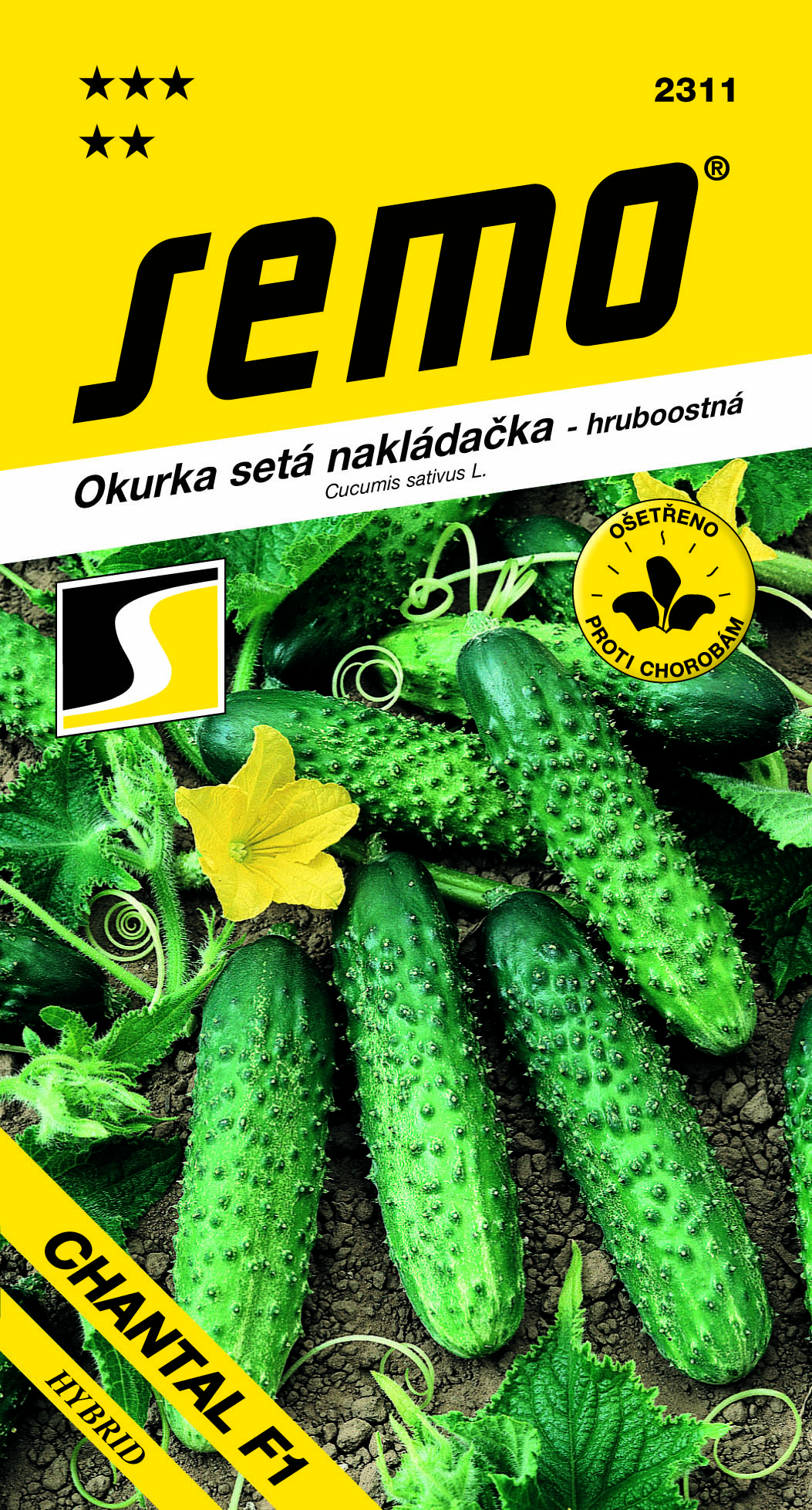 2311_okurka-nakl.hruboost.-CHANTAL-F1-1