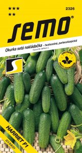 2326_okurka-nakl.hustoost.-HARRIET-F1-1