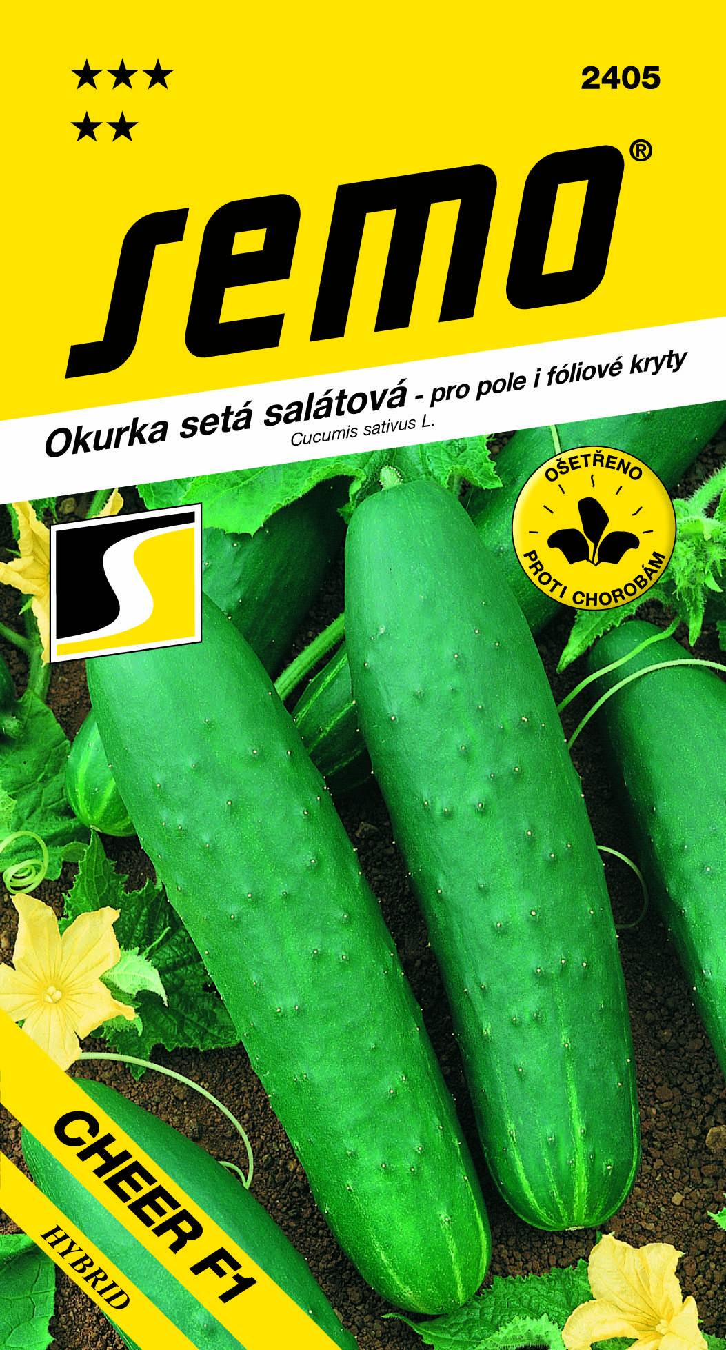 2405_okurka-salátová-CHEER-F1-2