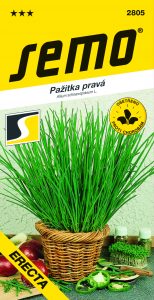 2805_pažitka-ERECTA-1