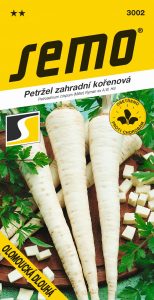 3002_petržel-OLOMOUCKÁ-DLOUHÁ-2