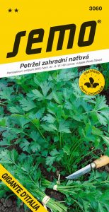 3060_petržel-nať.-GIGANTE-D´ITALIA-2