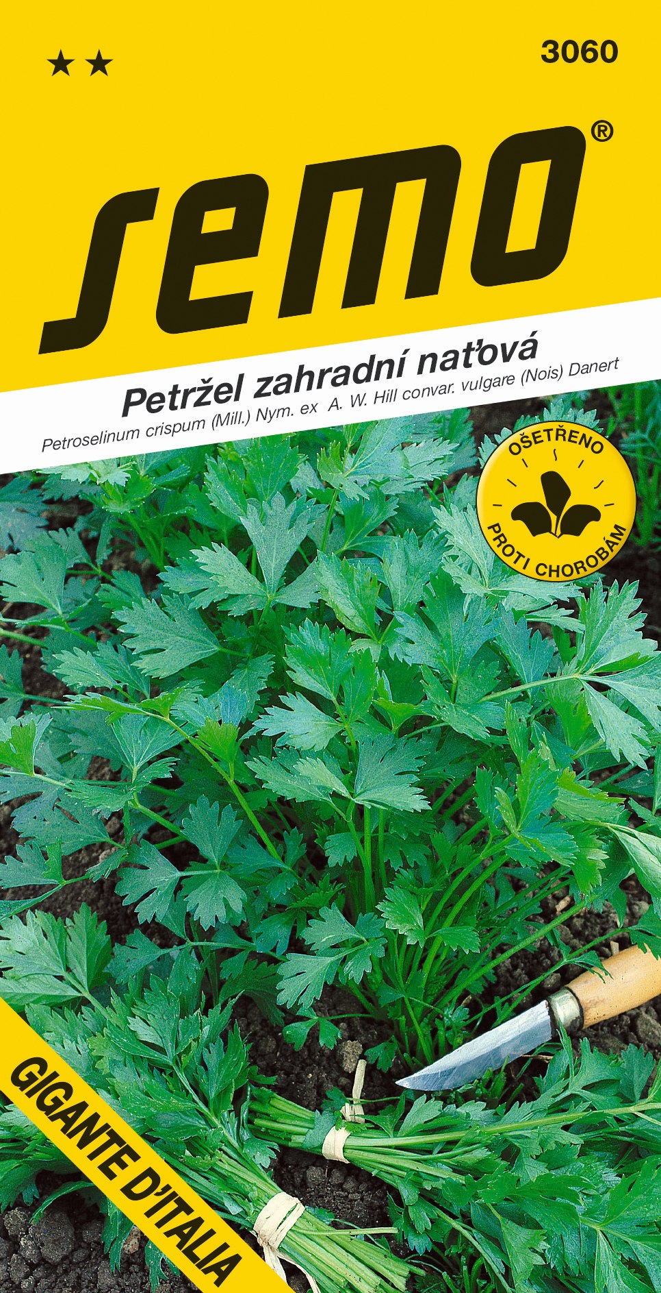 3060_petržel-nať.-GIGANTE-D´ITALIA-2