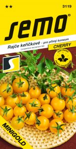 3119_rajče-keříčkové-MINIGOLD-2
