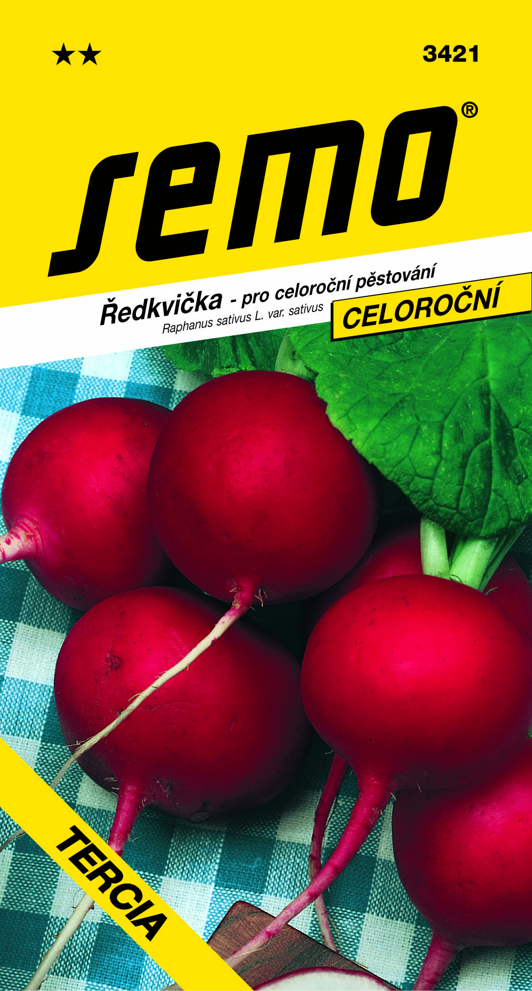 3421_ředkvička-TERCIA-2