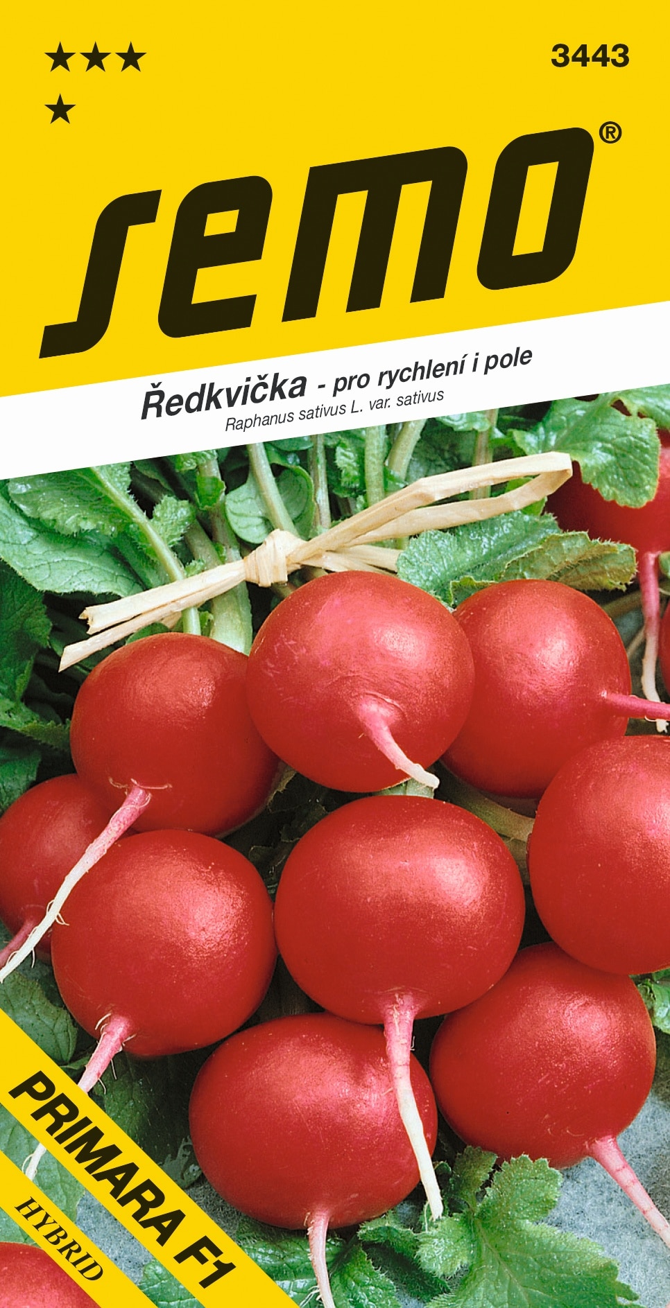 3443_ředkvička-PRIMARA-F1-2