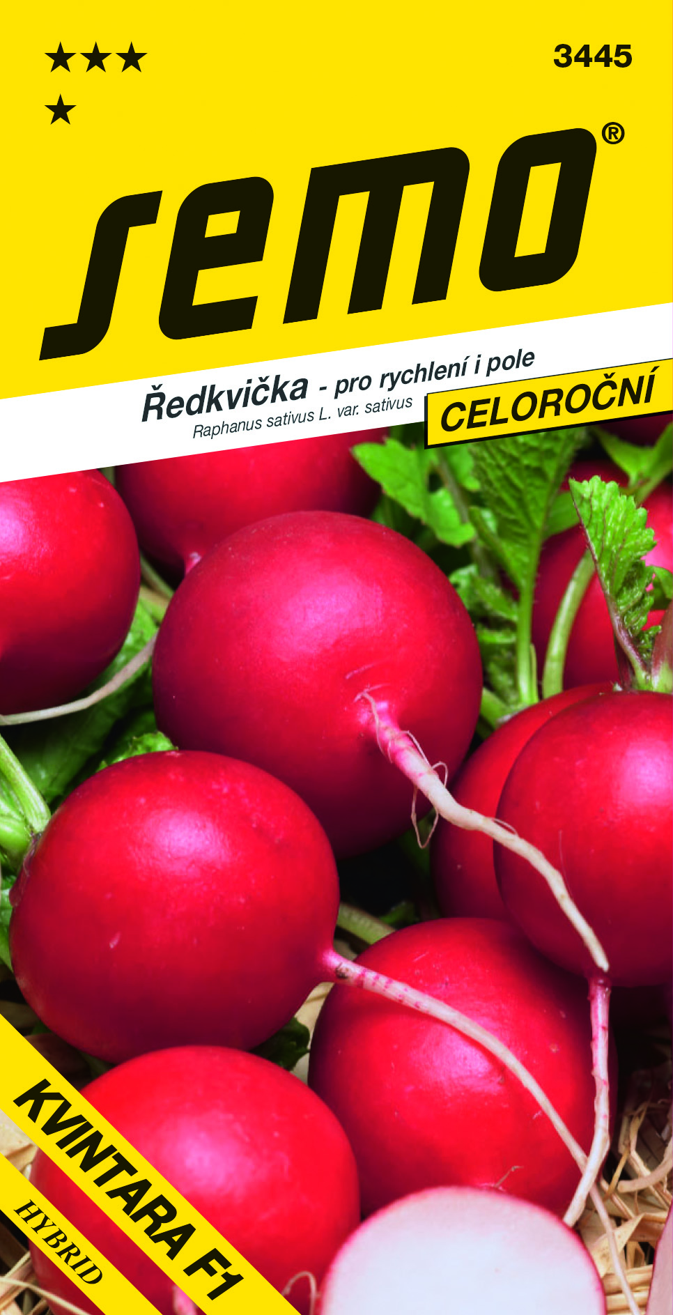3445_ředkvička-KVINTARA-F1-2