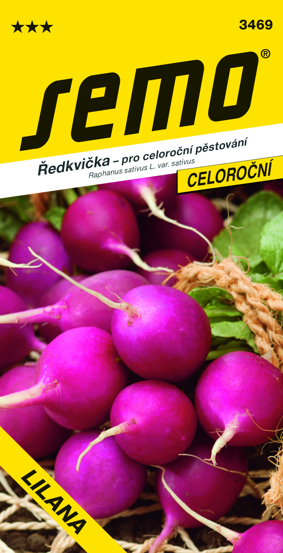 3469_Ředkvička LILANA 3469_Ředkvička-LILANA-2
