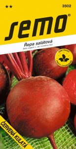 3502_řepa-salátová-ČERVENÁ-KULATÁ-2