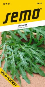 3613_roketa-WILD-ROCKET-1