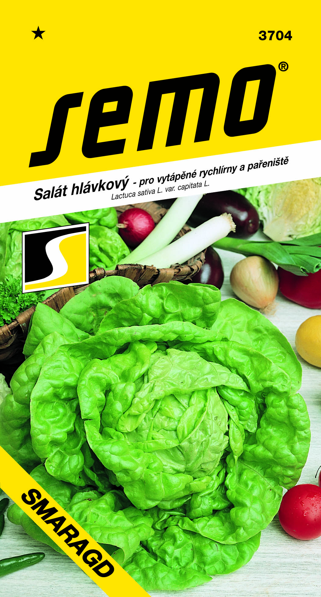 3704_salát-hlávkový-SMARAGD-2