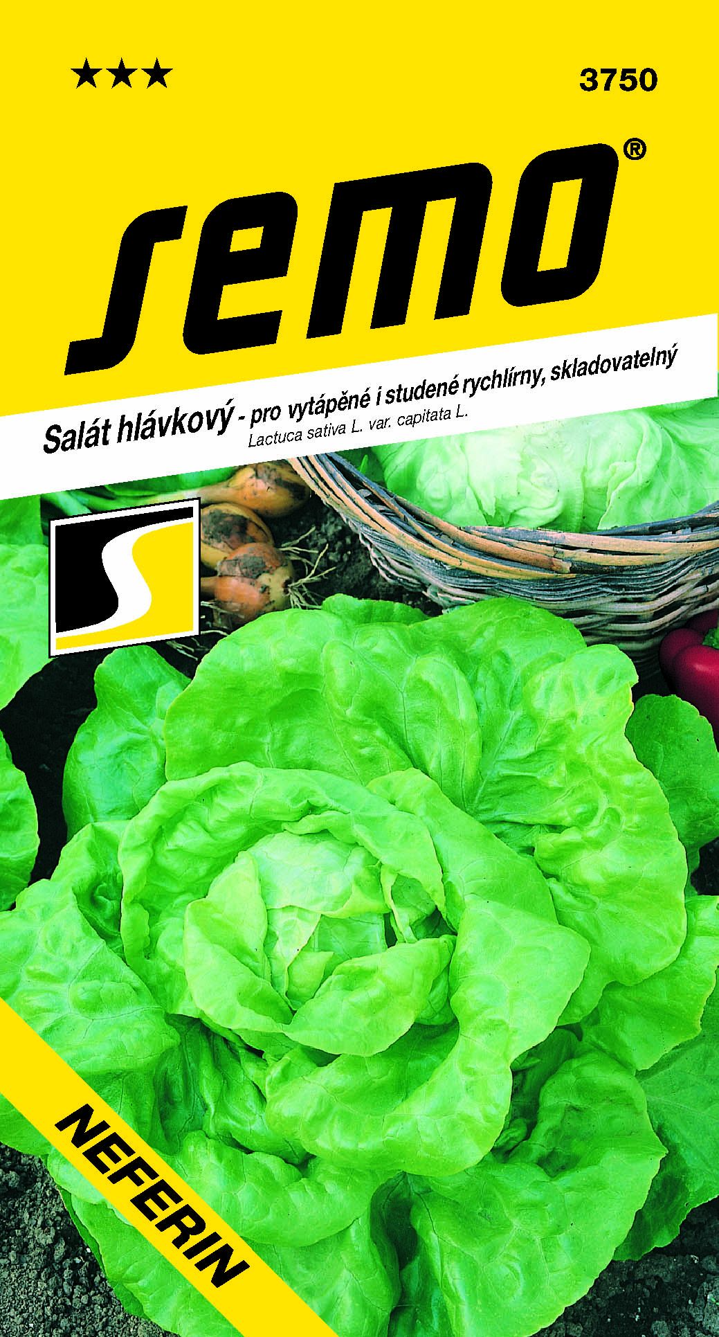 3750_salát-hlávkový-NEFERIN-2