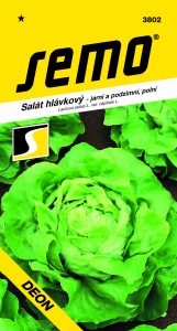 3802_salát-hlávkový-DEON-2