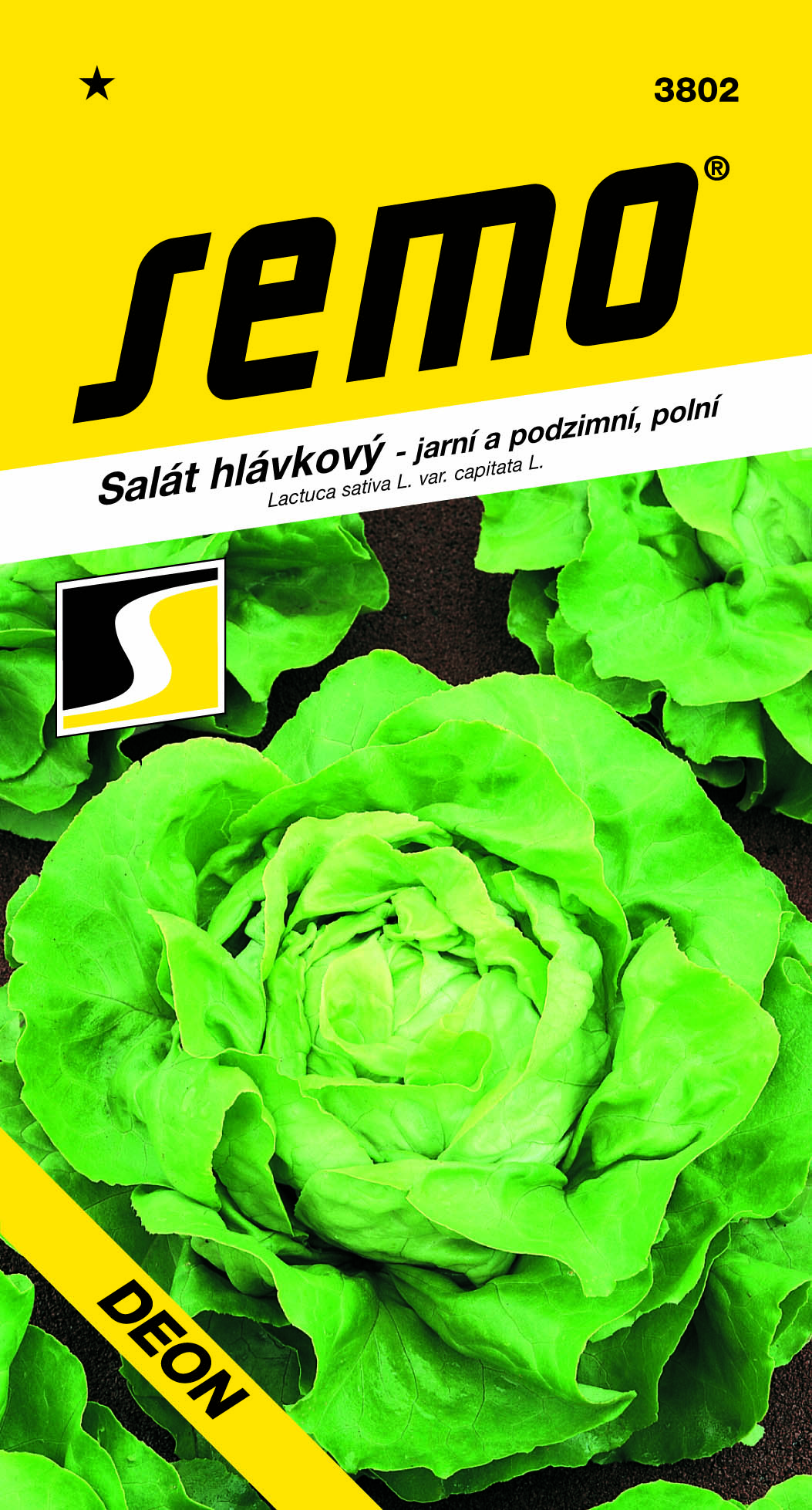 3802_salát-hlávkový-DEON-2