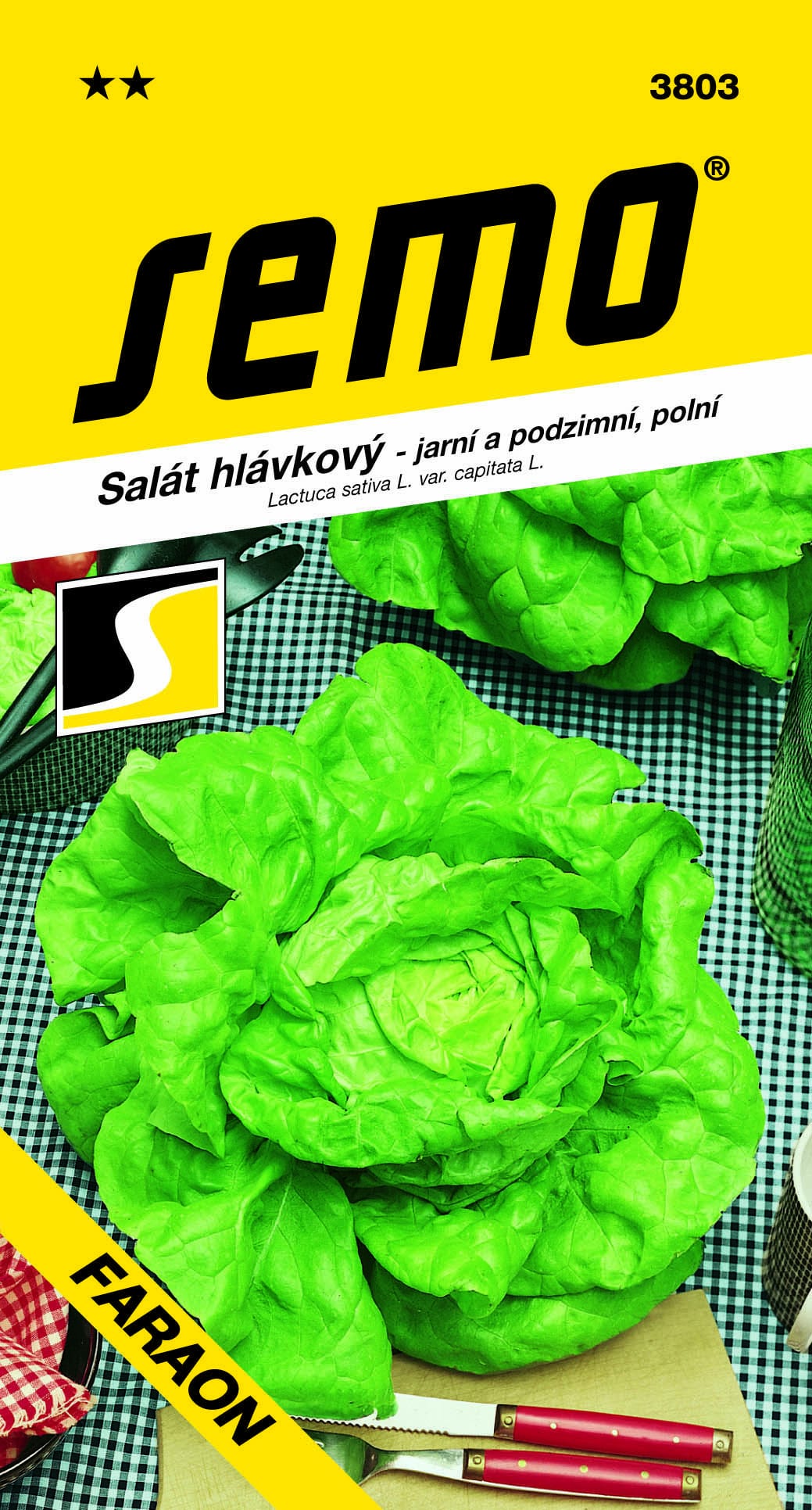 3803_salát-hlávkový-FARAON-1