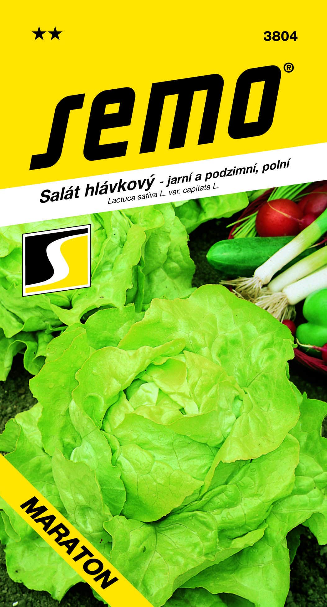 3804_salát-hlávkový-MARATON-1