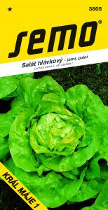3805_salát-hlávkový-KRÁL-MÁJE-1