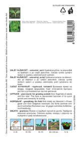 3828-1