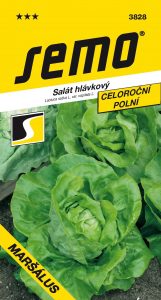 3828_salát-hlávkový-MARŠÁLUS-2