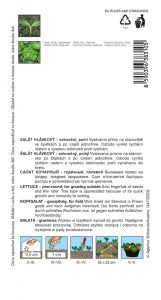 3831-1
