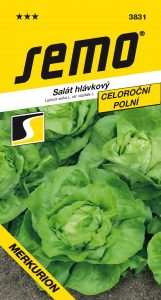 3831_salát-hlávkový-MERKURION-1