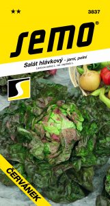 3837_salát-hlávkový-ČERVÁNEK-2