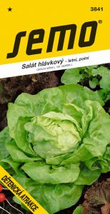 3841_salát-hlávkový-DĚTENICKÁ-ATRAKCE-2