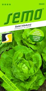 3845-Salát-MARŠÁLUS-tepelně-upraveno_N1703789_OSIVO_VS