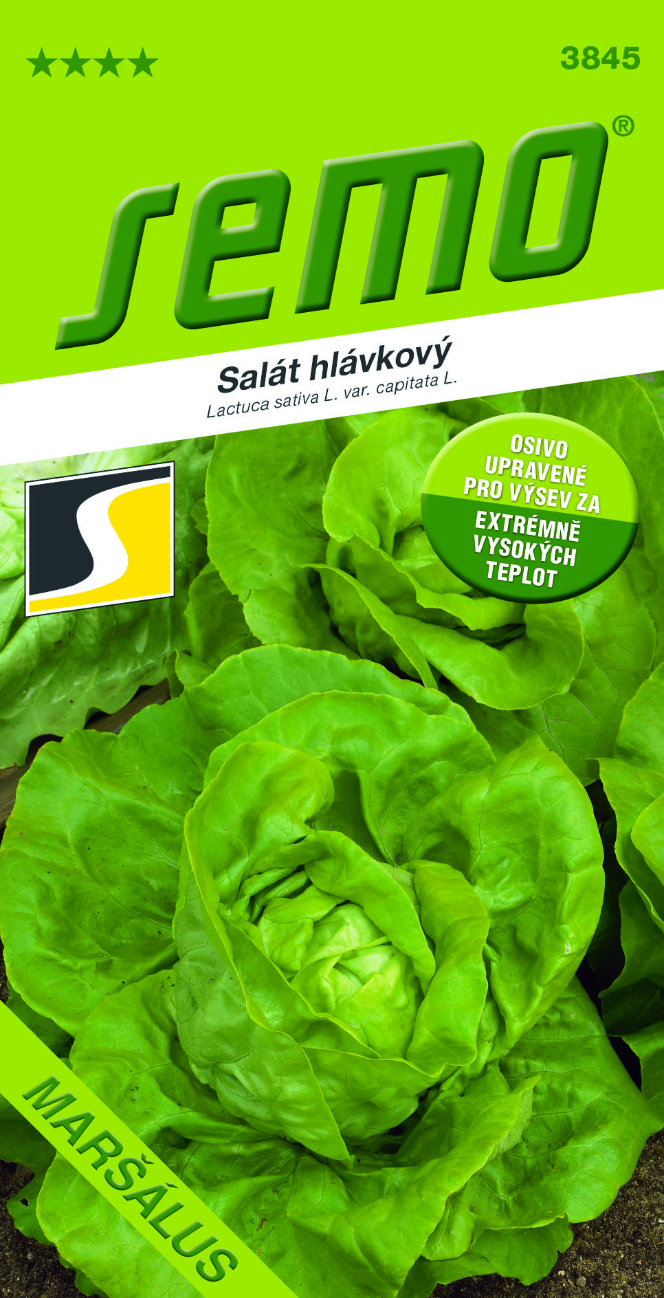 Šalát hlávkový MARŠÁLUS 1 3845-Salát-MARŠÁLUS-tepelně-upraveno_N1703789_OSIVO_VS