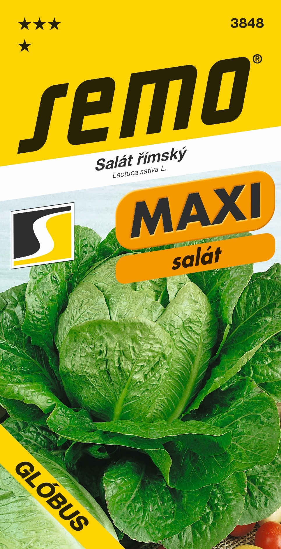 3848_salát-římský-GLÓBUS_MAXI-2