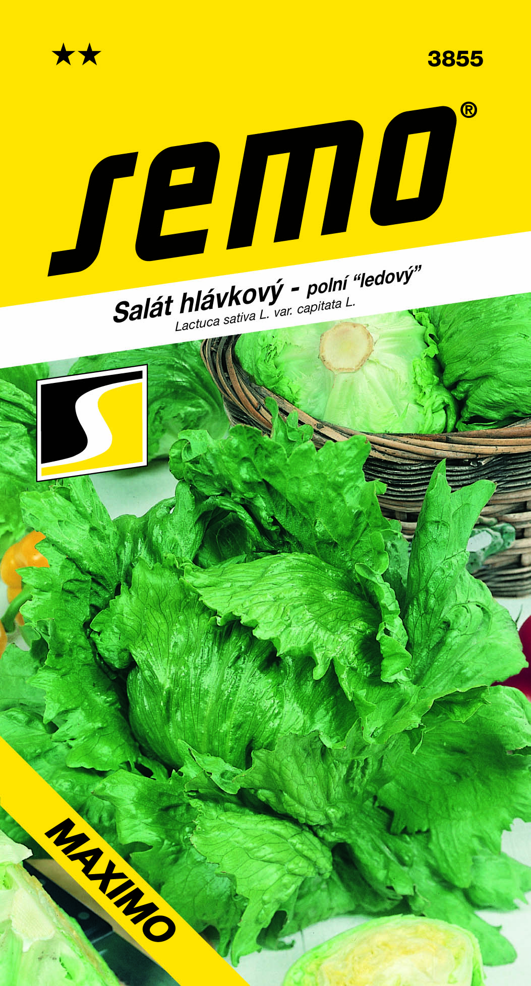 3855_salát-hlávkový-MAXIMO-2